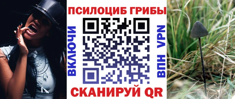 закладки  Свирск  Галлюциногенные грибы Magic Shrooms 